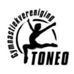 Toneo Logo Favicon